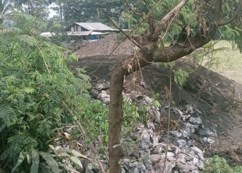 PPLH Ahli Muda Bandung Barat Angkat Bicara Terkait Dugaan Pencemaran dan Pembuangan Limbah B3 di Rongga, Desa Cihampelas.