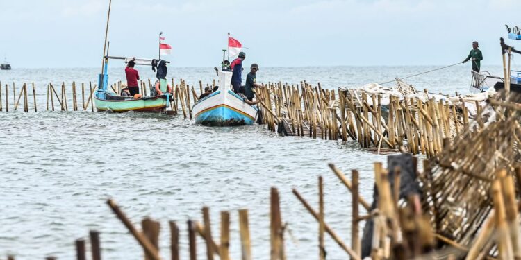 Miris..!! Akibat Pagar Laut Misterius di Tangerang, Berdampak pada Kerugian Ekonomi Masyarakat Nelayan