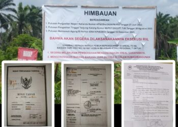 Miris! Diduga Dibekingi TNI-Polri, PTPN 1 Regional 7 Hancurkan Puluhan Rumah Warga