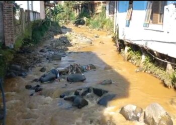 Daerah Aliran Sungai (DAS) Cisarua-Ciliwung Tercemar, Warga Dua Desa Protes