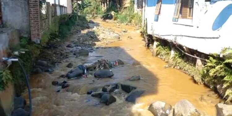 Daerah Aliran Sungai (DAS) Cisarua-Ciliwung Tercemar, Warga Dua Desa Protes